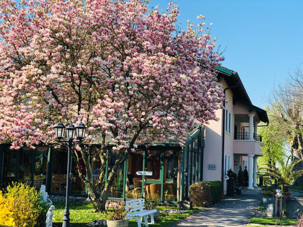 Landhaus Riedl 巴特法兴格 外观 照片